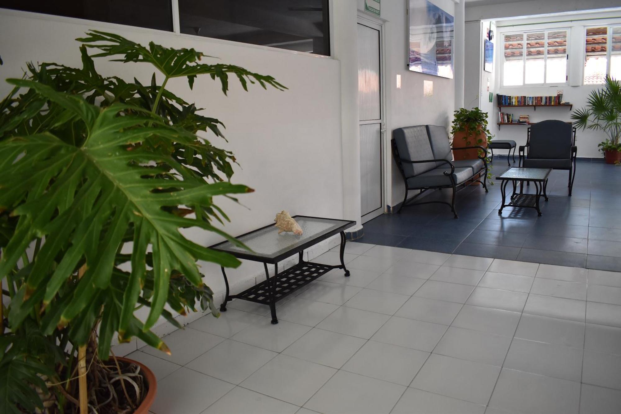 Hotel Plaza Almendros, イスラ・ムヘーレス エクステリア 写真